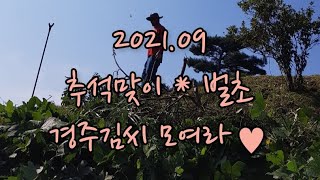 2021년 추석맞이 벌초