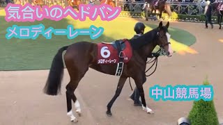 メロディーレーン　チラッとファンサ　気合いのヘドバン　中山競馬場