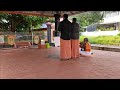 പുള്ളുവൻ പാട്ട് നാഗപ്പാട്ട് pulluvan song malayalam nagapaattu sarpam paattu devotional