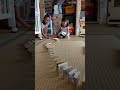 4歳ドミノで遊ぶ