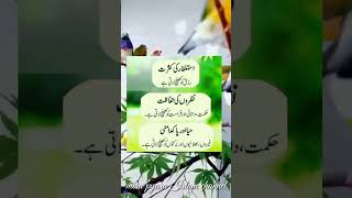 new islamic video by mera pyara Islam channel🌹🌹🌹🌹🌹🌺