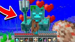How to tame a DROWNED in Minecraft?