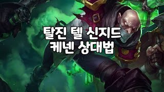 포식자 탈진 순간이동 신지드 케넨 상대법 #싱드택배 #singed