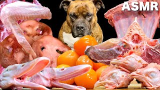 【大食い犬ASMR】生肉と骨付き肉を豪快に爆食いする愛犬5選 総集編13　MUKBANG Dog eats raw meat bones