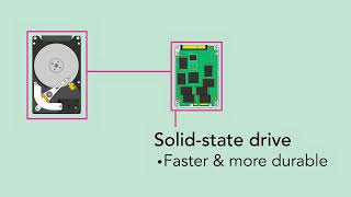 Computer Basics: Inside a Computer