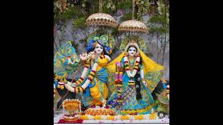 Joy radhe radhe krishna krishna 🙏🙏