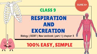 Respiration and Excreation | class 9 | biology #scert #biology #class9 #keralasyllabus #educational