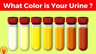 What Your Urine Color Says About Your Health | Urinary System Breakdown | VisitJoy