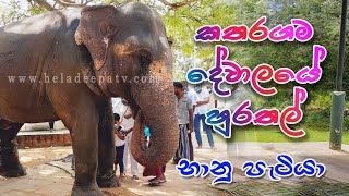 Kataragama Bhanu මෙන්න හුරතල්  භානු  බානු \