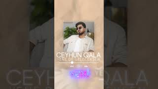 Ceyhun Qala - Yenə də gələcəksən