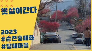 #순천탐매마을 #순천가볼만한곳 #전남가볼만한곳