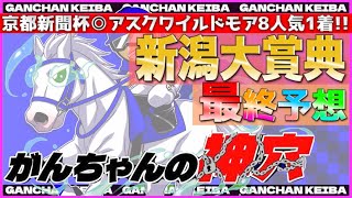 【新潟大賞典2022】上位人気全て軽視🔥渾身の帯狙い予想❤️‍🔥自信◎🔥がんちゃんの神穴🔥