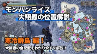 【モンハンライズ】寒冷群島 大翔蟲＋サブキャンプはココ！