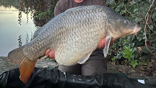 Houseboat Carping 😁🎣Big carp river adventure