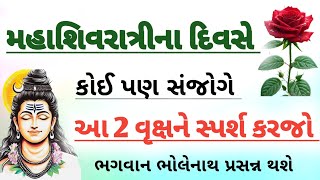 મહાશિવરાત્રીના દિવસે આ વૃક્ષને સ્પર્શ કરજો | mahashivratri | vastu tips | vastu Shastra.