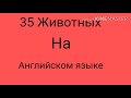 Топ 35 Животных на Английском языке. Урок 3