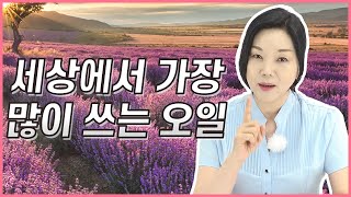 아로마테라피를 한다면 꼭 있어야 하는 오일