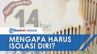 Ada Peran Penting di Baliknya, Ini Penjelasan Mengapa Dianjurkan Isolasi Diri Mandiri selama 14 Hari