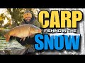 WINTER CARP FISHING TOP TIPS | ALI HAMIDI | ONE MORE CAST | CARP FISHING | UNDERWATER CARP