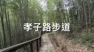 嘉義梅山孝子路步道 遍植茂密青翠的孟宗竹林