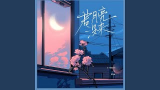 若月亮没来 (DJ何友版)