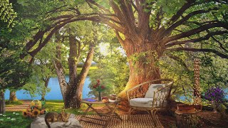 Cozy Summer Day Ambience | Cozy Corner in the Summer Garden | Summer Ambience