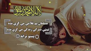 مسلمان یم غلامی می کړی نده | پښتو نعت | Pashto new Naat | پښتو نظم