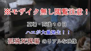 《モザイク無し閲覧注意！》孤独死（自殺）現場の特殊清掃