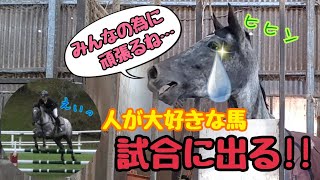 寂しがり屋な馬…勇気を出して空を舞い、芝を駆ける！！馬術競技に出場！【ツルマルボーイ様のシモべ】