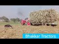 Belarus 510 Tractor Loading Sugarcane  2019 || Bhakkar Tractors