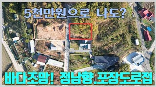 -1529-[5천만원],132p,전원주택단지,강화도토지,강화토지,강화도토지급매,강화도땅,강화땅,강화도땅급매,강화도임야,강화도임야급매,강화도전원주택지,강화도전원주택급매,강화도주말농장