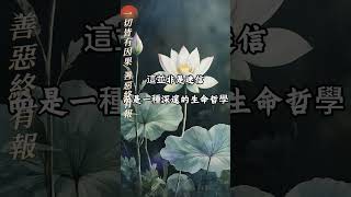 一切皆有因果，善惡终有報 #人生哲學# #佛教 #正能量