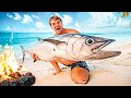 GIANT TUNA Catch and Cook on UNINHABITED Island