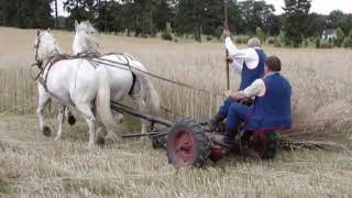 Jadą goście, jadą - Piosenka ludowa z Kurpiów - Polish folk song from Kurpie region