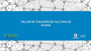 Taller de tasación de cultivos de olivar