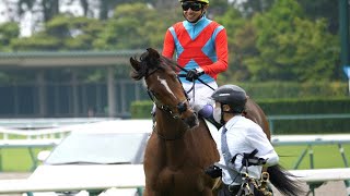 【武豊 返し馬】 口向きの悪さを見せる馬を余裕綽々、笑顔でいなす ドリームアゲイン 中京４R 3歳未勝利 芝2000m 2021年5月8日