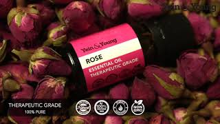 Intro: Yein\u0026Young Rose Essential Oil