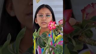 એક વાત કહું? જે બાગ માં માળી ના હોય... ##ytshorts #ytviral #suvichargujarati #motivation #garden #y