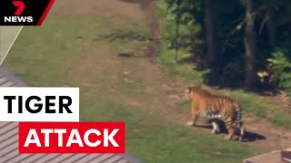 Woman mauled by tiger on the Gold Coast | 7NEWS