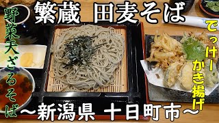 【繁蔵 田麦そば Shigezou Tamugi Soba】野菜天ざるそば～新潟県 十日町市～うまいへぎ蕎麦とサクサク天ぷら Soba tempura 【飯テロ】【バイク】【蕎麦】【天ぷら】