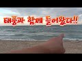 엄청난 태풍이 최고급 어종을 백사장으로 몰고왔다!!/Fishing on the beach to catch black sea bream!