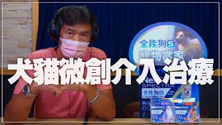 '21.08.09【全能狗S 寵物當家】張益福獸醫師談「犬貓微創介入治療」