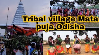 World Biggest Tribal Odisha |  Tribal kuldevta puja Odisha | Jai Gopala Vlogger