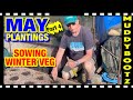 🌻317 🌻 SOW WINTER VEGETABLES 🌻 WHAT TO PLANT IN MAY 🌻 PART 4 🌻