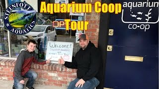 Aquarium Coop Store tour with Flynns Fish Forum | Community Fish | Planted Tanks | Guppy Fish