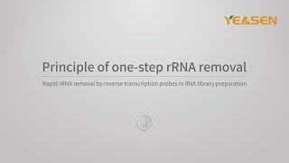 Principle of one-step rRNA removal