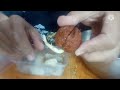 胡桃の種蒔きのウラ技 technical method to seed walnuts