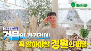 겨울이 가기전에 꼭 알아야할 정원의 비밀! 팜파스 그린라이트 층층이꽃 리틀버니 남천 블루스템 겨울정원가꾸기 활용법~