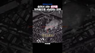 신박한 미국인들의 사냥방법  #사사맨