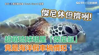 碰瓷高手！超萌琉球明星「傑尼龜」竟是海洋假車禍慣犯｜三立新聞網SETN.com